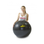 Гимнастический мяч ZIVA 75 см с насосом черный ZES-CFCB-0075