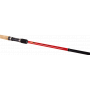 Ayashi Carp Terra Elite Series 4.20m 30-120g