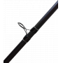 Ayashi Carp Terra Elite Series 4.20m 30-120g