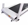 Беговая дорожка EVO FITNESS Vector II