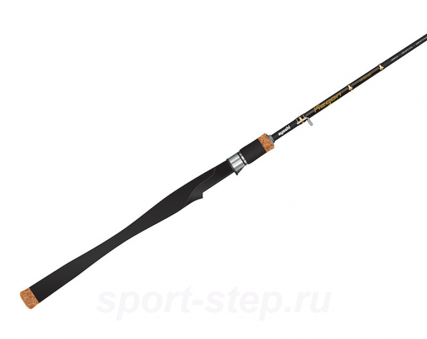 Ayashi Kegon KS802L (2.44m 7-21g)