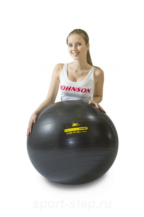 Гимнастический мяч ZIVA 75 см с насосом черный ZES-CFCB-0075