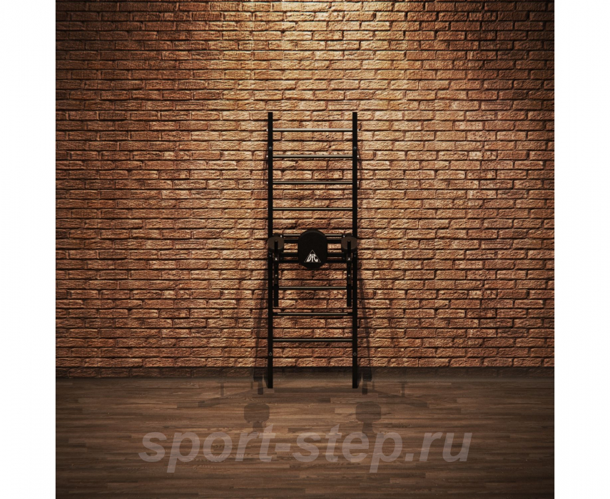 Шведская стенка с опциями DFC VT-7004