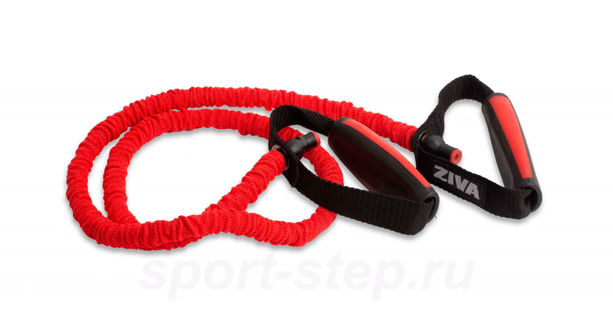 Эспандер трубчатый с защитном кожухе 5LB Ziva ZSC-605