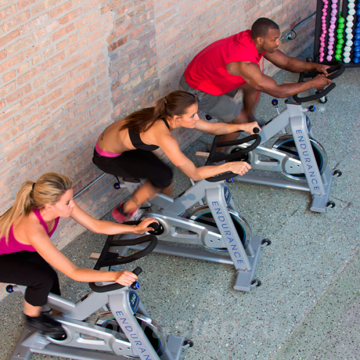 Спинбайк Endurance ESB250