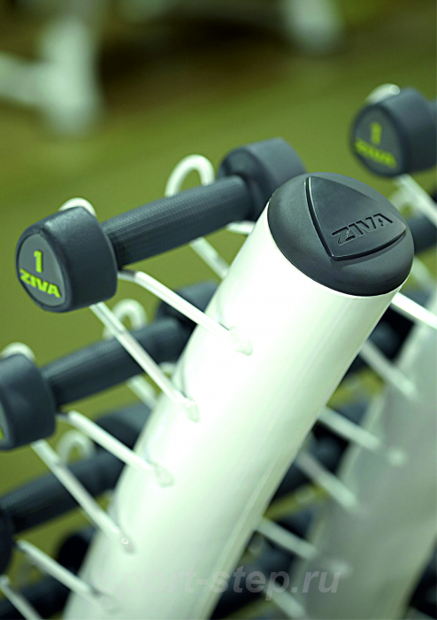 Стойка для студийных гантелей на 10 пар серая Ziva ZST-VS10-6024