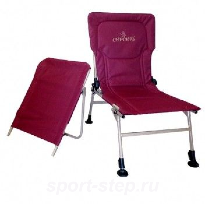 Кресло-трансформер Снегирь Polar Bird ABC05324