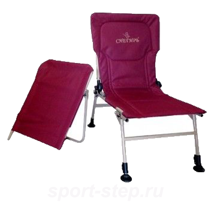 Кресло-трансформер Снегирь Polar Bird ABC05324