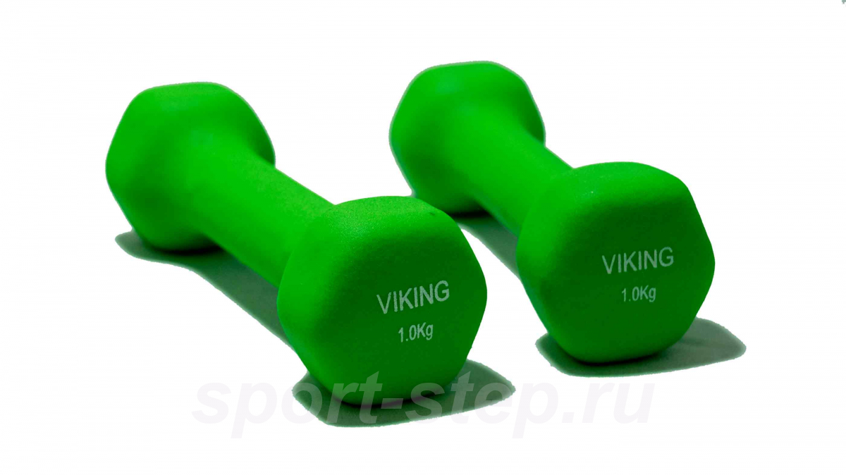 Гантель VIKING 1 кг (пара) V-1x2