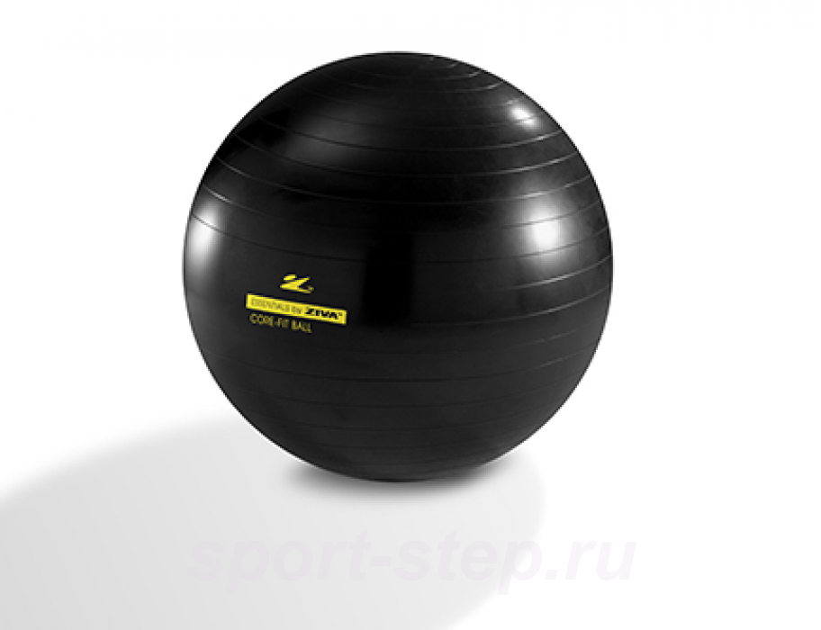 Гимнастический мяч ZIVA 75 см с насосом черный ZES-CFCB-0075