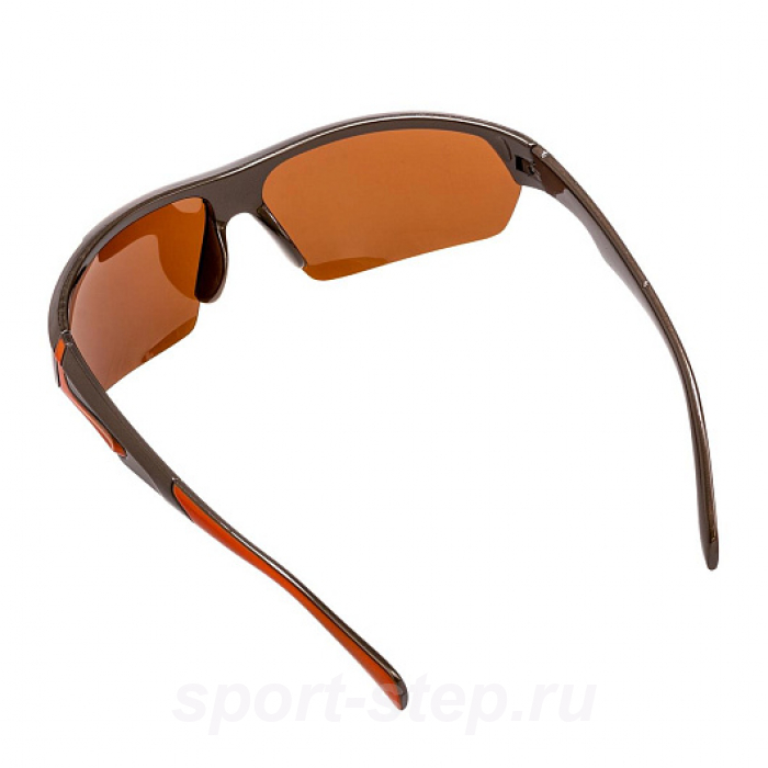 Очки поляризационные в жест.чехле (коричневый) (PR-OP-9419-B-C) PREMIER