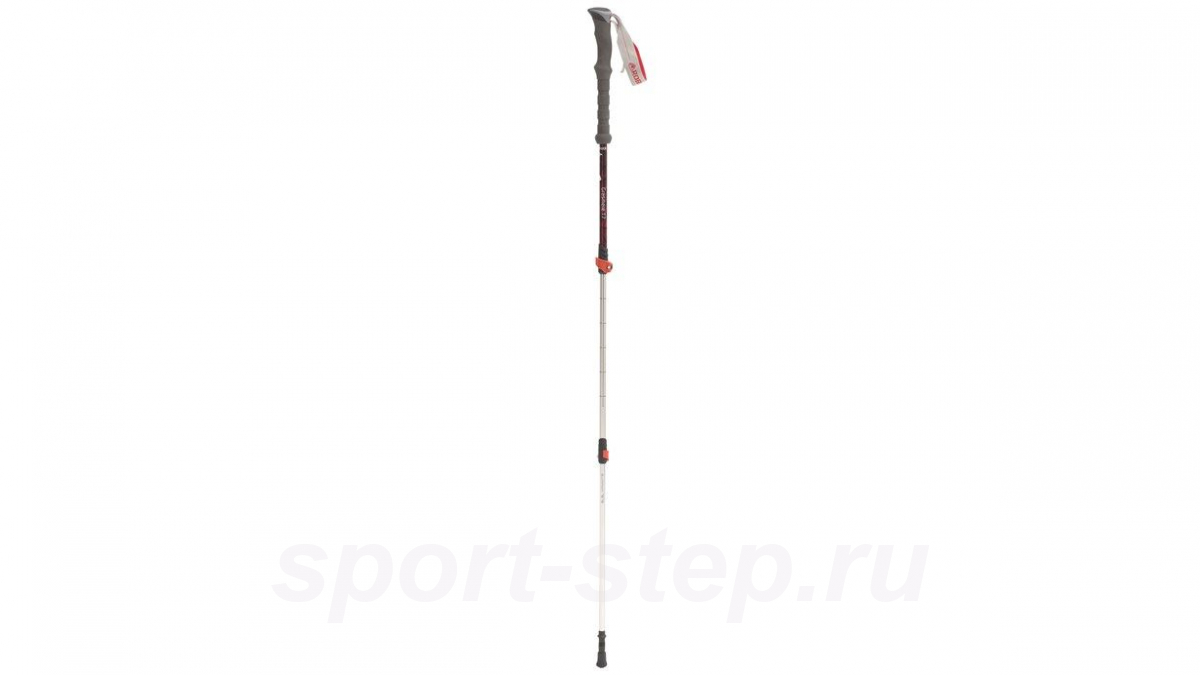 Палки треккинговые Robens Grasmere T7