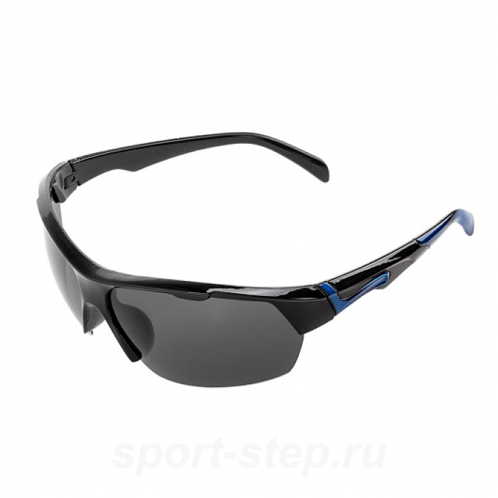 Очки поляризационные в жест.чехле (серый) (PR-OP-9419-G-C) PREMIER