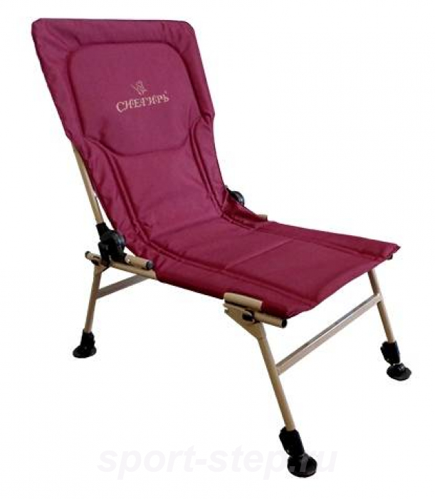 Кресло-трансформер Снегирь Polar Bird ABC05324