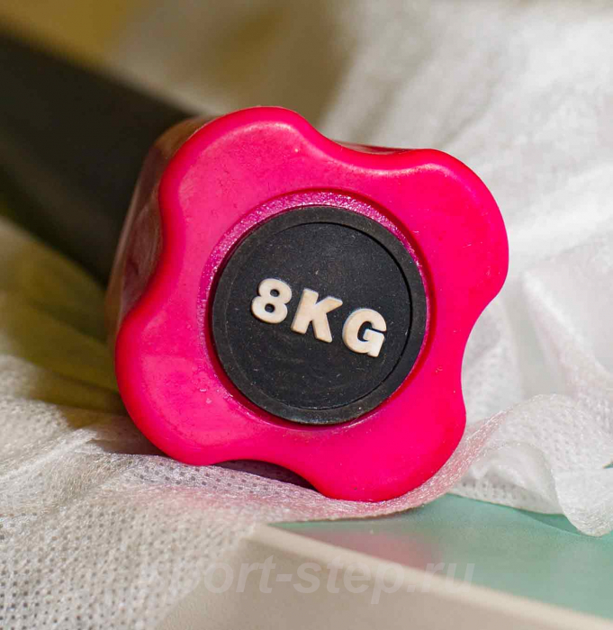Бодибар 8 кг Fitness Tools FT-BDB-8