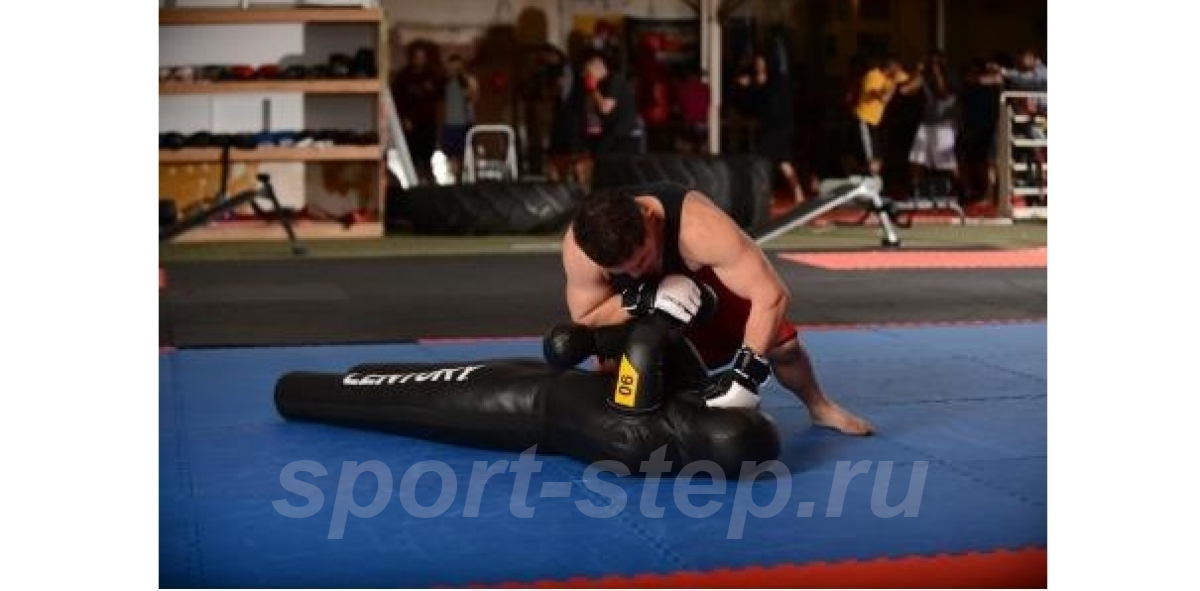 Миксфайт манекен Century 41кг 101690