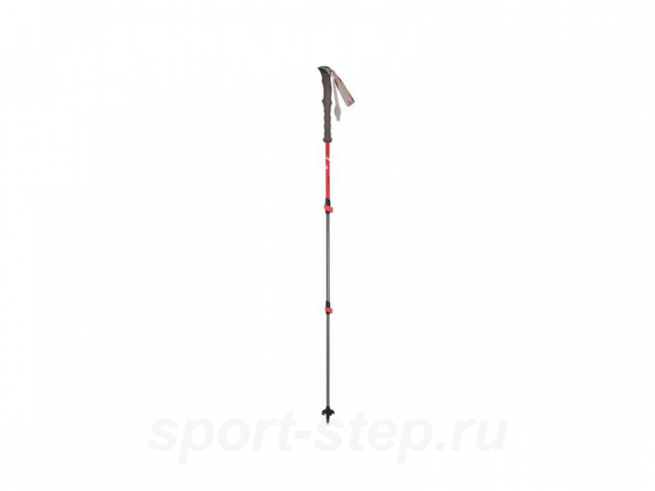 Палки треккинговые Robens Grasmere T7