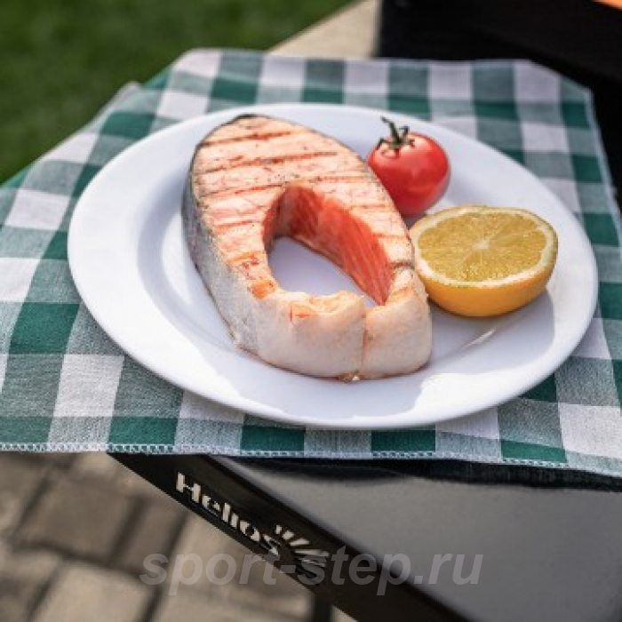 Мангал Helios SMART-800 Люкс (HS-GS-M804-L)