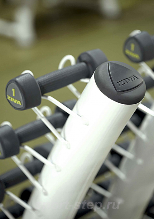 Стойка для студийных гантелей на 30 пар белая Ziva ZST-VS30-6001