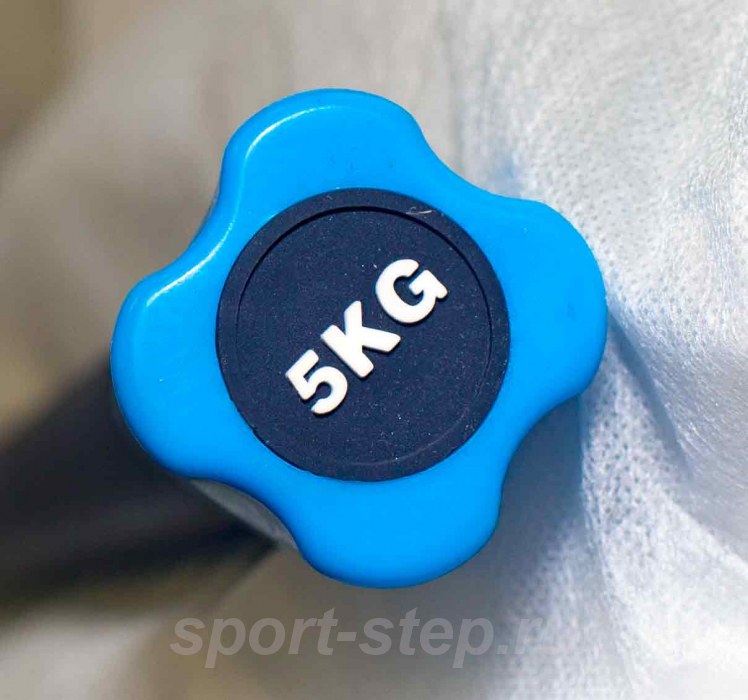 Бодибар 5 кг Fitness Tools FT-BDB-5