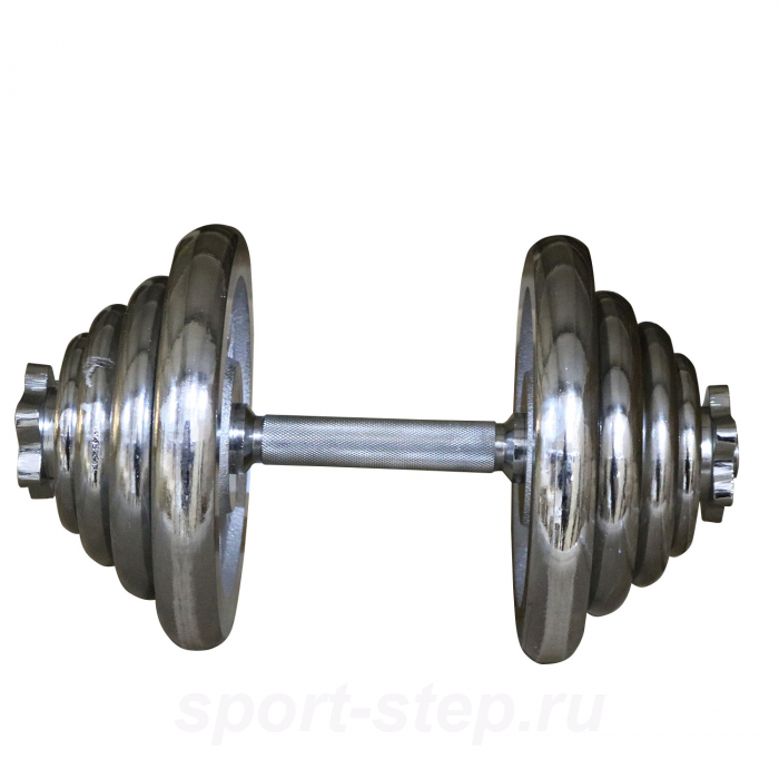 Диск хромированный DFC, 26 мм, 2,5 кг WP031-26-2.5