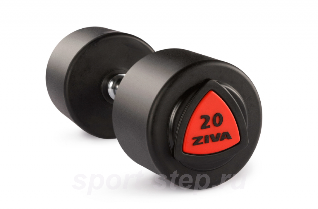 Гантель 38 кг ZIVA серии ZVO ZVO-DBPU-1025 уретановое покрытие