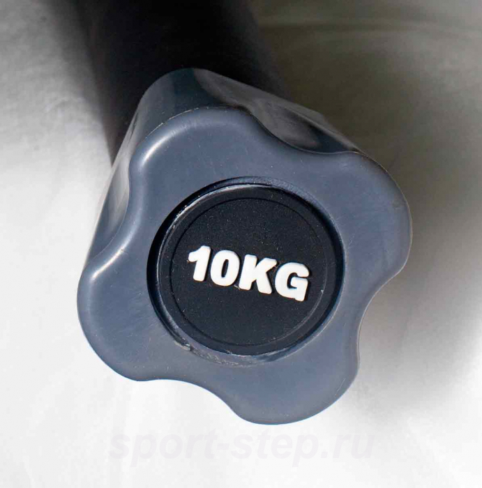 Бодибар 10 кг Fitness Tools FT-BDB-10